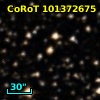 CoRoT 101372675
