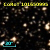 CoRoT 101650995