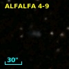ALFALFA 4-9