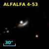 ALFALFA 4-53