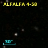 ALFALFA 4-58