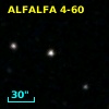 ALFALFA 4-60
