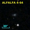 ALFALFA 4-64
