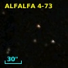 ALFALFA 4-73