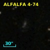 ALFALFA 4-74
