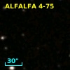 ALFALFA 4-75