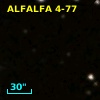 ALFALFA 4-77