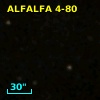 ALFALFA 4-80