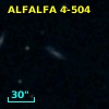 ALFALFA 4-504
