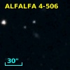 ALFALFA 4-506