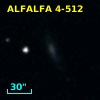 ALFALFA 4-512