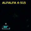 ALFALFA 4-515
