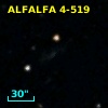 ALFALFA 4-519