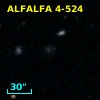 ALFALFA 4-524