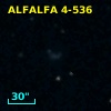 ALFALFA 4-536