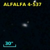 ALFALFA 4-537