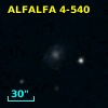 ALFALFA 4-540