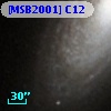 [MSB2001] C12