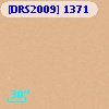 [DRS2009] 1371