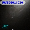 [MSB2001] C20
