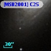 [MSB2001] C25