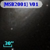 [MSB2001] V01