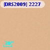 [DRS2009] 2227