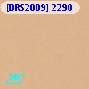 [DRS2009] 2290