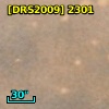 [DRS2009] 2301