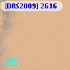[DRS2009] 2616