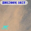[DRS2009] 1027