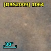 [DRS2009] 1064
