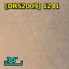 [DRS2009] 1241
