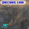 [DRS2009] 1490