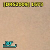 [DRS2009] 1673