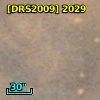 [DRS2009] 2029