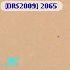 [DRS2009] 2065