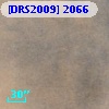 [DRS2009] 2066