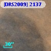 [DRS2009] 2137