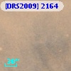 [DRS2009] 2164