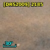 [DRS2009] 2185