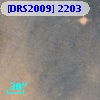 [DRS2009] 2203