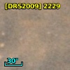 [DRS2009] 2229