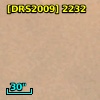 [DRS2009] 2232