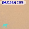 [DRS2009] 2253