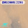 [DRS2009] 2291