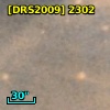 [DRS2009] 2302