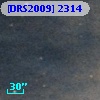 [DRS2009] 2314