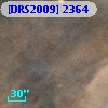 [DRS2009] 2364