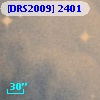 [DRS2009] 2401